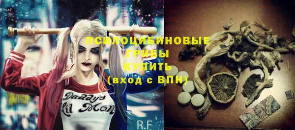 2c-b Лабытнанги