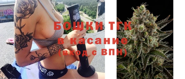спайс Ладушкин