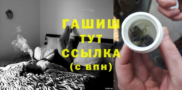 спайс Ладушкин