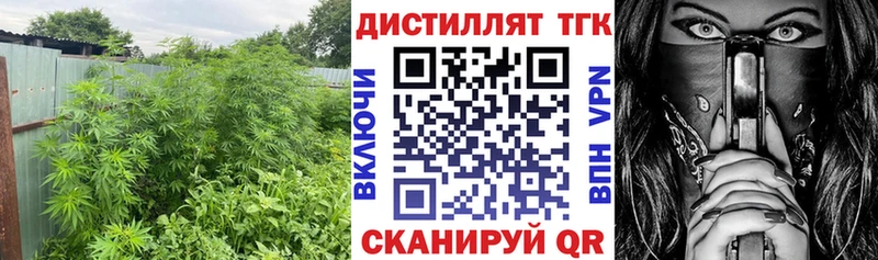 Дистиллят ТГК Wax Яблоновский
